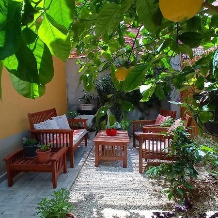 Green House Avola Bagian luar foto