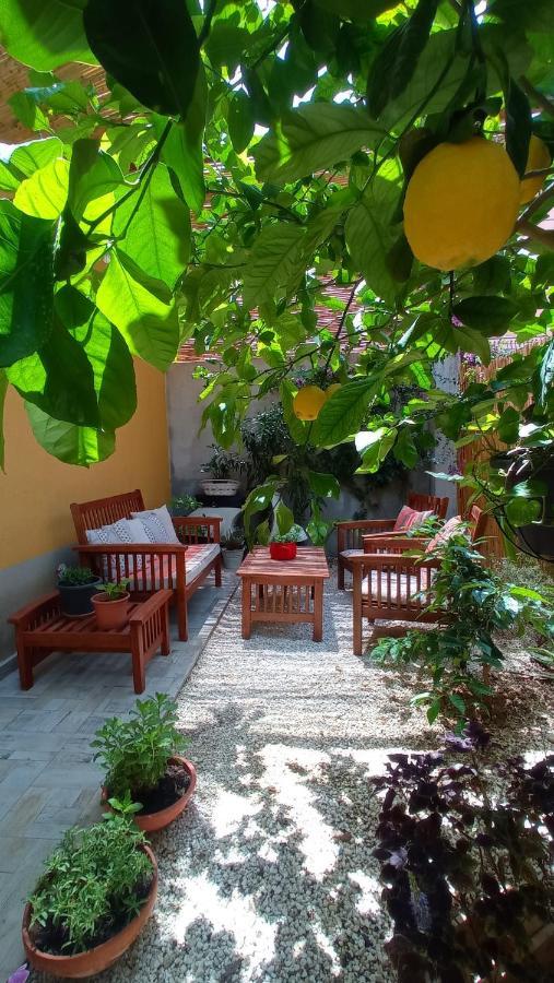 Green House Avola Bagian luar foto
